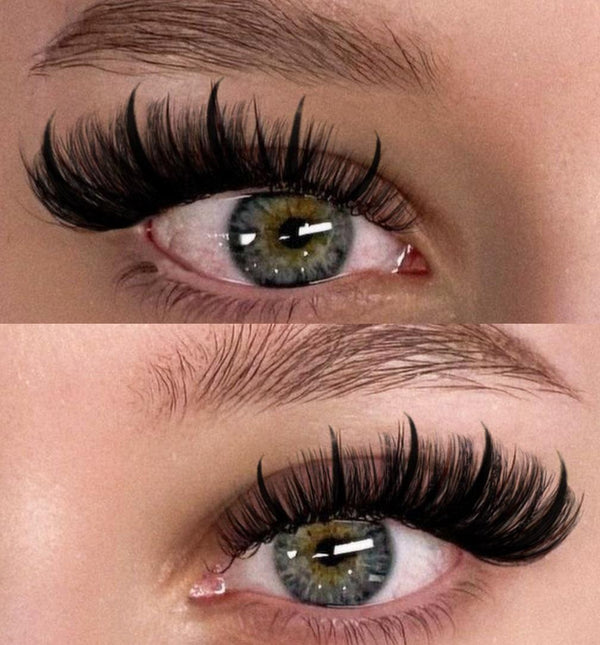 Geeneiya 200D Lash Extension Kit 12-20mm D Curl Thick DIY Eyelash